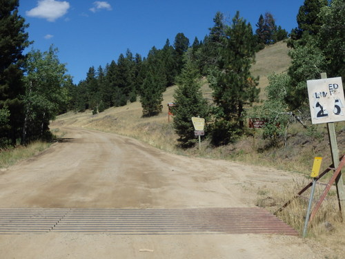 GDMBR: We're re-entering the National Forest.